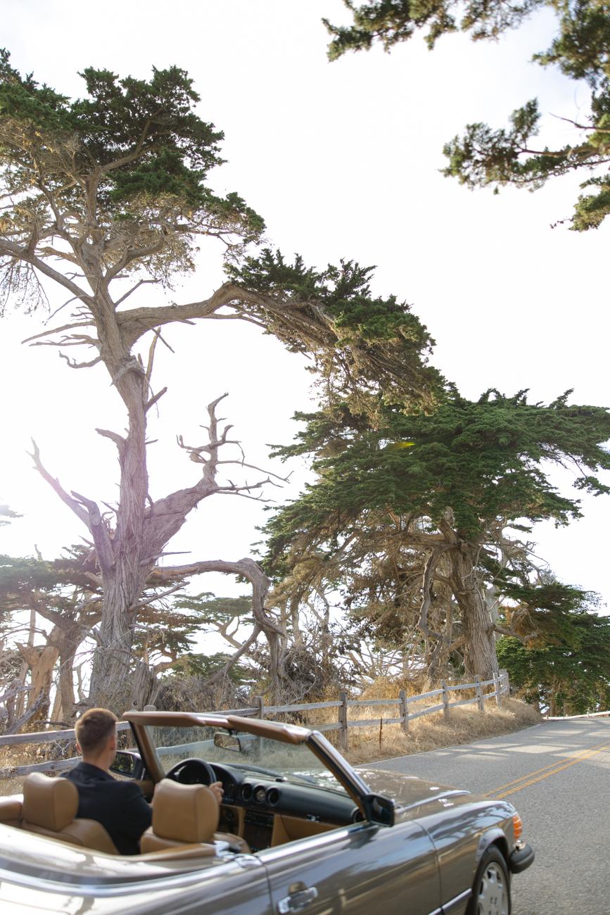 Behind the wheel of the Mercedes on the coast road